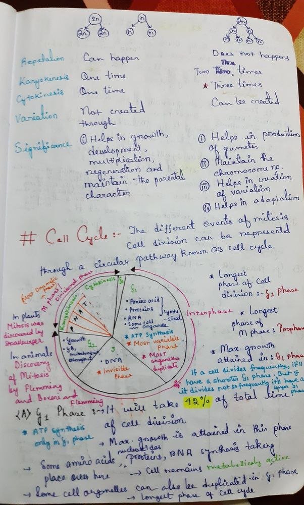 Cell cycle, the ordered sequence of events that occur in a cell in preparation for cell division. The cell cycle is a four-stage process in which the cell increases in size (gap 1, or G1, stage), copies its DNA (synthesis, or S, stage), prepares to divide (gap 2, or G2, stage), and divides (mitosis, or M, stage).Oct 1, 2019
