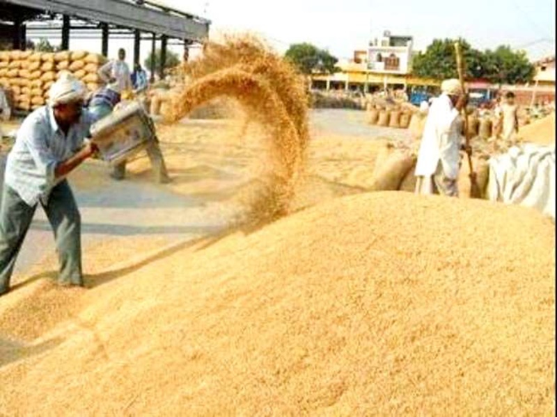 Madhya Pradesh News: गेहूं खरीदी को लेकर नरम हुई शिवराज सरकार, किसानों को अब एसएमएस भी भेजे जाएंगे