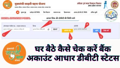 Ladli Behna Yojana Check Aadhar DBT Status : एमपी सरकार कर रही पहले 1 रुपया ट्रांसफर, आपके खाते में नहीं आया तो ये काम जरूर करे - Digital Education Portal