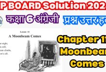 MP Board English Class 6 Chapter 11 A Moonbeam Comes Solutions