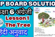 The Tree : MP Board Class 6th English Lesson 1 Translation in hindi