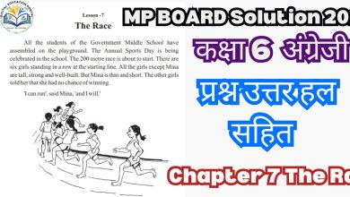 Class 6 MP Board English Chapter 7 The Race Solutions in hindi pdf