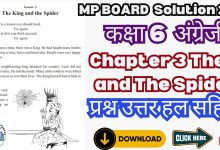 Class 6th MP Board English Solutions Chapter 3 The King and The Spider