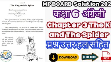 Class 6th MP Board English Solutions Chapter 3 The King and The Spider
