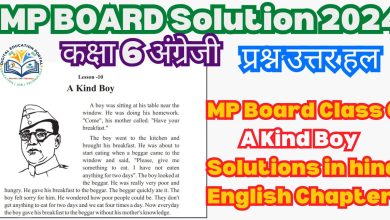 MP Board Class 6 A Kind Boy Solutions in hindi English Chapter 10