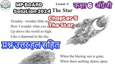 The Star Class 6 MP Board English Solutions Chapter 5
